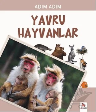 Yavru Hayvanlar – Fiametta Dogi – Almidilli kitap kapağı
