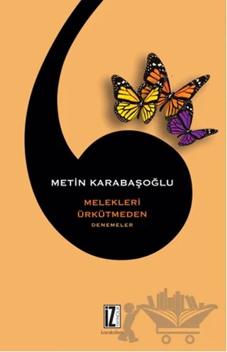 Melekleri Ürkütmeden – Metin Karabaşoğlu – İz Yayıncılık kitap kapağı