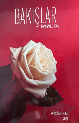 Bakışlar – Ahmet Fikret Sakar – Zinde Yayıncılık kitap kapağı