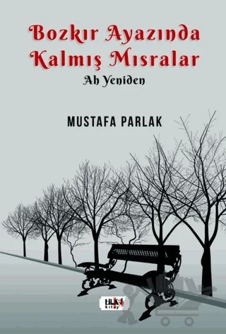 Bozkır Ayazında Kalmış Mısralar – Mustafa Parlak – Tilki Kitap kitap kapağı