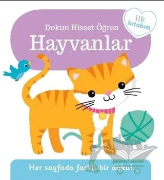 Dokun Hisset Öğren: Hayvanlar – Kolektif – Pearson Çocuk Kitapları kitap kapağı
