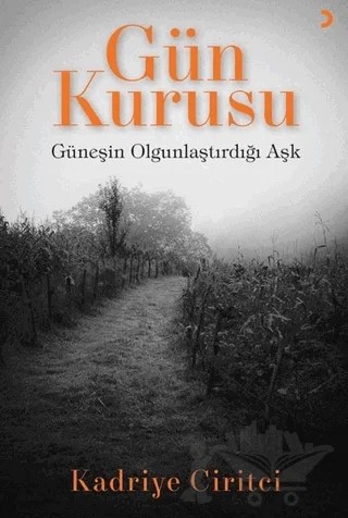 Gün Kurusu – Kadriye Ciritci – Cinius Yayınları kitap kapağı