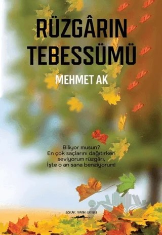 Rüzgarın Tebessümü – Mehmet Ak – Sokak Kitapları Yayınları kitap kapağı