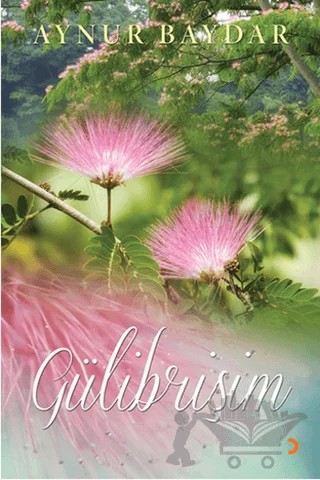 Gülibrişim – Aynur Baydar – Cinius Yayınları kitap kapağı