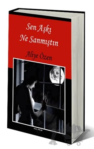 Sen Aşkı Ne Sanmıştın – Aliye Özen – Sokak Kitapları Yayınları kitap kapağı
