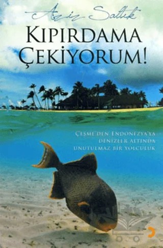 Kıpırdama Çekiyorum – Aziz Saltık – Cinius Yayınları kitap kapağı
