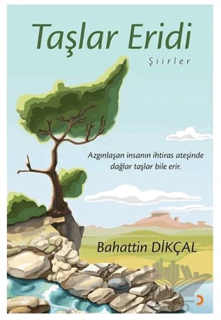 Taşlar Eridi – Bahattin Dikçal – Cinius Yayınları kitap kapağı