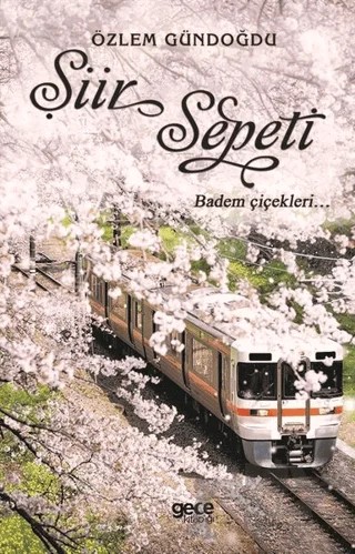Şiir Sepeti 2 – Özlem Gündoğdu – Gece Kitaplığı kitap kapağı