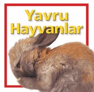 Yavru Hayvanlar – Kolektif – Beta Kids kitap kapağı