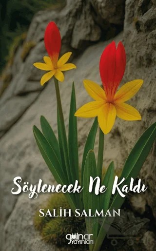 Söylenecek Ne Kaldı – Salih Salman – Gülnar Yayınları kitap kapağı