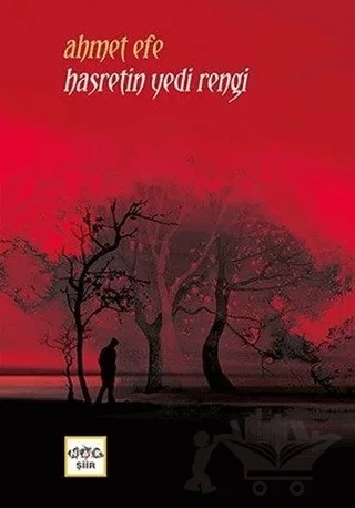 Hasretin Yedi Rengi – Ahmet Efe – Nar Yayınları kitap kapağı