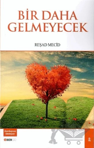 Bir Daha Gelmeyecek – Reşad Mecid – Bengü Yayınları kitap kapağı