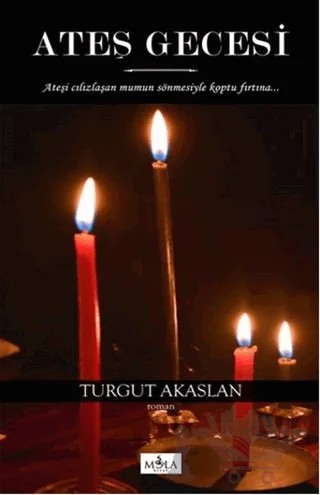 Ateş Gecesi – Turgut Akaslan – Mola Kitap kitap kapağı