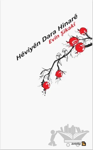 Heviyen Dara Hinare – Evin Şikaki – Avesta Yayınları kitap kapağı