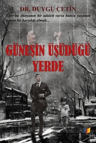 Güneşin Üşüdüğü Yerde – Duygu Çetin – Ateş Yayınları kitap kapağı