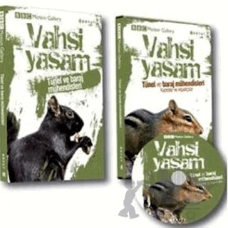 Vahşi Yaşam-Tünel ve Baraj Mühendisleri – Kolektif – Boyut Yayın Grubu kitap kapağı