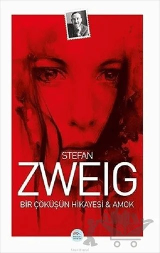Bir Çöküşün Hikayesi ve Amok – Stefan Zweıg – Maviçatı Yayınları kitap kapağı
