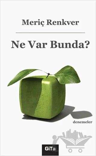 Ne Var Bunda? – Meriç Renkver – Gita Yayınları kitap kapağı