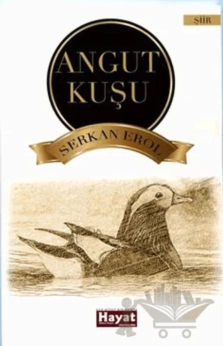 Angut Kuşu – Serkan Erol – Hayat Özlem Kayalı Yayınları kitap kapağı