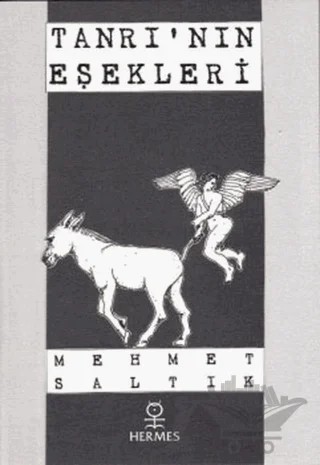 Tanrı’nın Eşekleri – Mehmet Saltık – Hermes Yayınları kitap kapağı