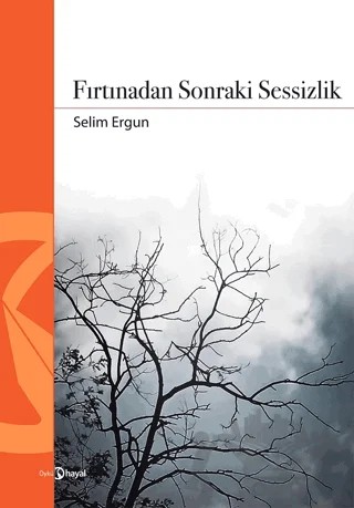 Fırtınadan Sonraki Sessizlik – Selim Ergün – Hayal Yayınları kitap kapağı