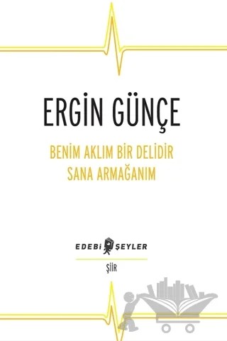 Benim Aklım Bir Delidir Sana Armağanım – Ergin Günçe – Edebi Şeyler kitap kapağı