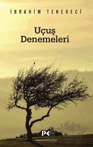 Uçuş Denemeleri – İbrahim Tenekeci – Profil Kitap kitap kapağı