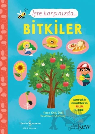 İşte Karşınızda...Bitkiler – Emily Dodd – İş Bankası Kültür Yayınları kitap kapağı