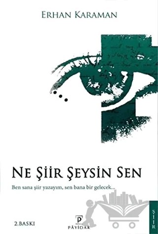 Ne Şiir Şeysin Sen – Erhan Karaman – Payidar Yayınevi kitap kapağı