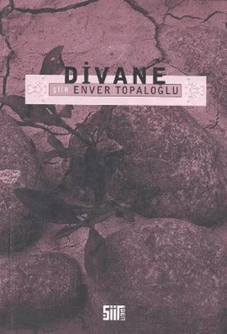 Divane – Enver Topaloğlu – Şiirden Yayıncılık kitap kapağı