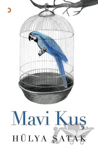 Mavi Kuş – Hülya Şatak – Cinius Yayınları kitap kapağı