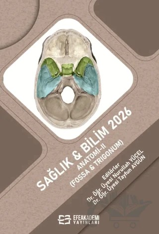 Sağlık & Bilim 2026: Anatomi-II (Fossa & Trigonum) – Kolektif – Efe Akademi Yayınları kitap kapağı
