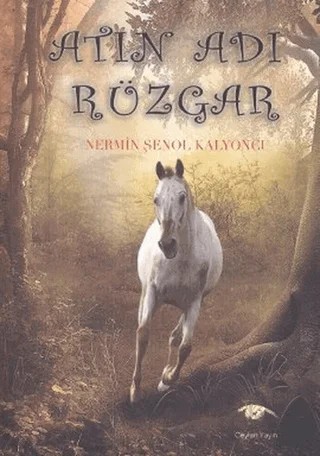 Atın Adı Rüzgar – Nermin Şenol Kalyoncu – Ceylan Yayınları kitap kapağı