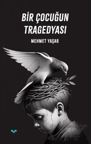 Bir Çocuğun Tragedyası – Mehmet Yaşar – Ludena Yayınları kitap kapağı