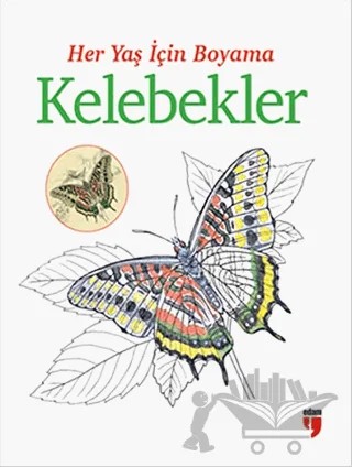 Her Yaş İçin Boyama - Kelebekler – Kolektif – EDAM kitap kapağı