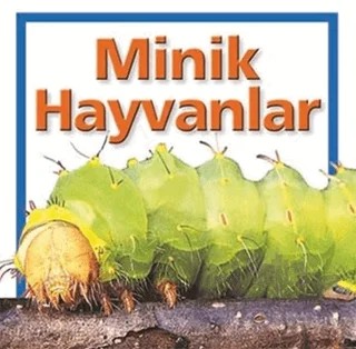 Minik Hayvanlar – Kolektif – Beta Kids kitap kapağı