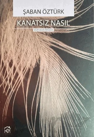 Kanatsız Nasıl – Şaban Öztürk – Kurgu Kültür Merkezi kitap kapağı