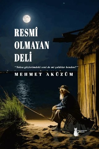 Resmi Olmayan Deli – Mehmet Aküzüm – Sokak Kitapları Yayınları kitap kapağı