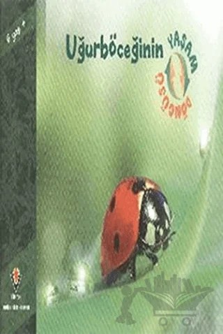 Uğurböceğinin Yaşam Döngüsü – David M. Schwartz – TÜBİTAK Yayınları kitap kapağı