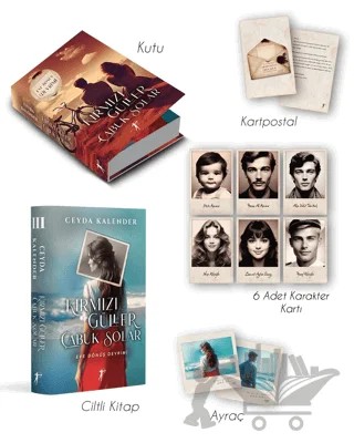 Kırmızı Güller Çabuk Solar 3 - Eve Dönüş Devrimi (Ciltli - Kutulu Set) – Ceyda Kalender – Artemis Yayınları kitap kapağı