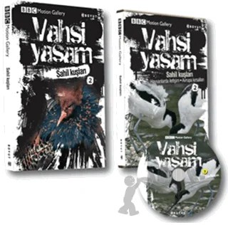 Vahşi Yaşam 2 - Sahil Kuşları – Derek Niemann, Euan Dunn – Boyut Yayın Grubu kitap kapağı