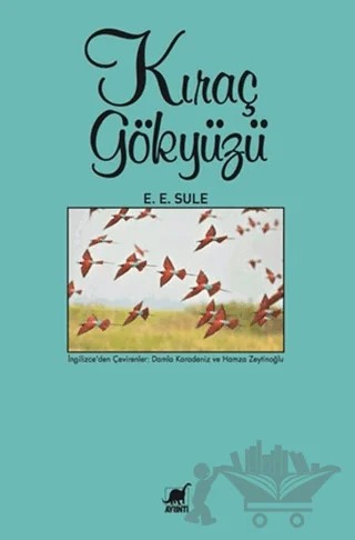 Kıraç Gökyüzü – E. E. Sule – Ayrıntı Yayınları kitap kapağı