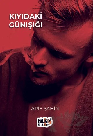 Kıyıdaki Günışığı – Arif Şahin – Tilki Kitap kitap kapağı