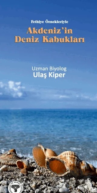 Akdeniz’in Deniz Kabukları Fethiye Örnekleriyle – Ulaş Kiper – Arkeoloji ve Sanat Yayınları kitap kapağı