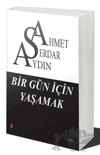Bir Gün İçin Yaşamak – Ahmet Serdar Aydın – Cinius Yayınları kitap kapağı