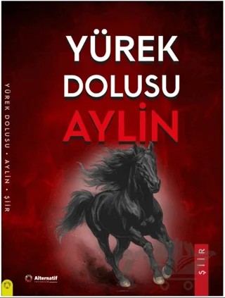 Yürek Dolusu Aylin Şiirleri – Aylin Erdemer – Alternatif Yayıncılık kitap kapağı