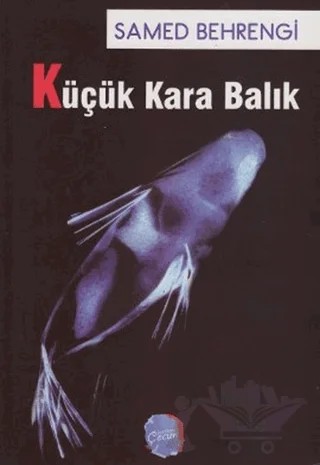 Küçük Kara Balık – Samed Behrengi – Berikan Yayınevi kitap kapağı