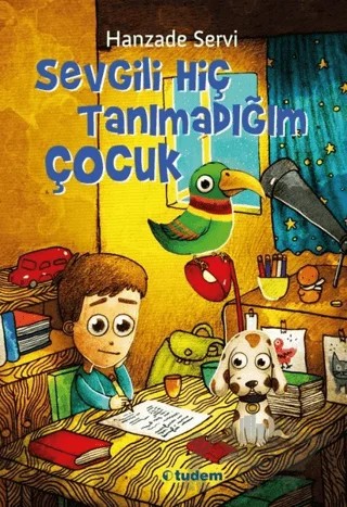 Sevgili Hiç Tanımadığım Çocuk – Hanzade Servi – Tudem Yayınları kitap kapağı