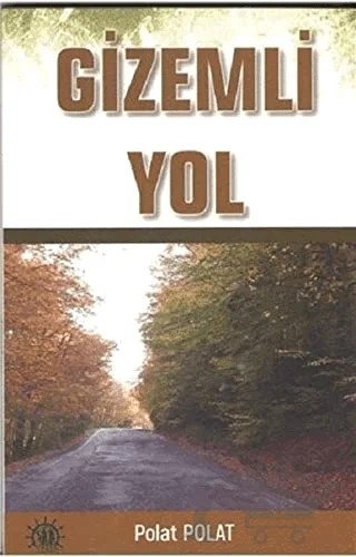Gizemli Yol – Polat Polat – Yason Yayıncılık kitap kapağı