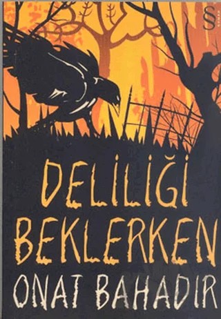 Deliliği Beklerken – Onat Bahadır – Everest Yayınları kitap kapağı